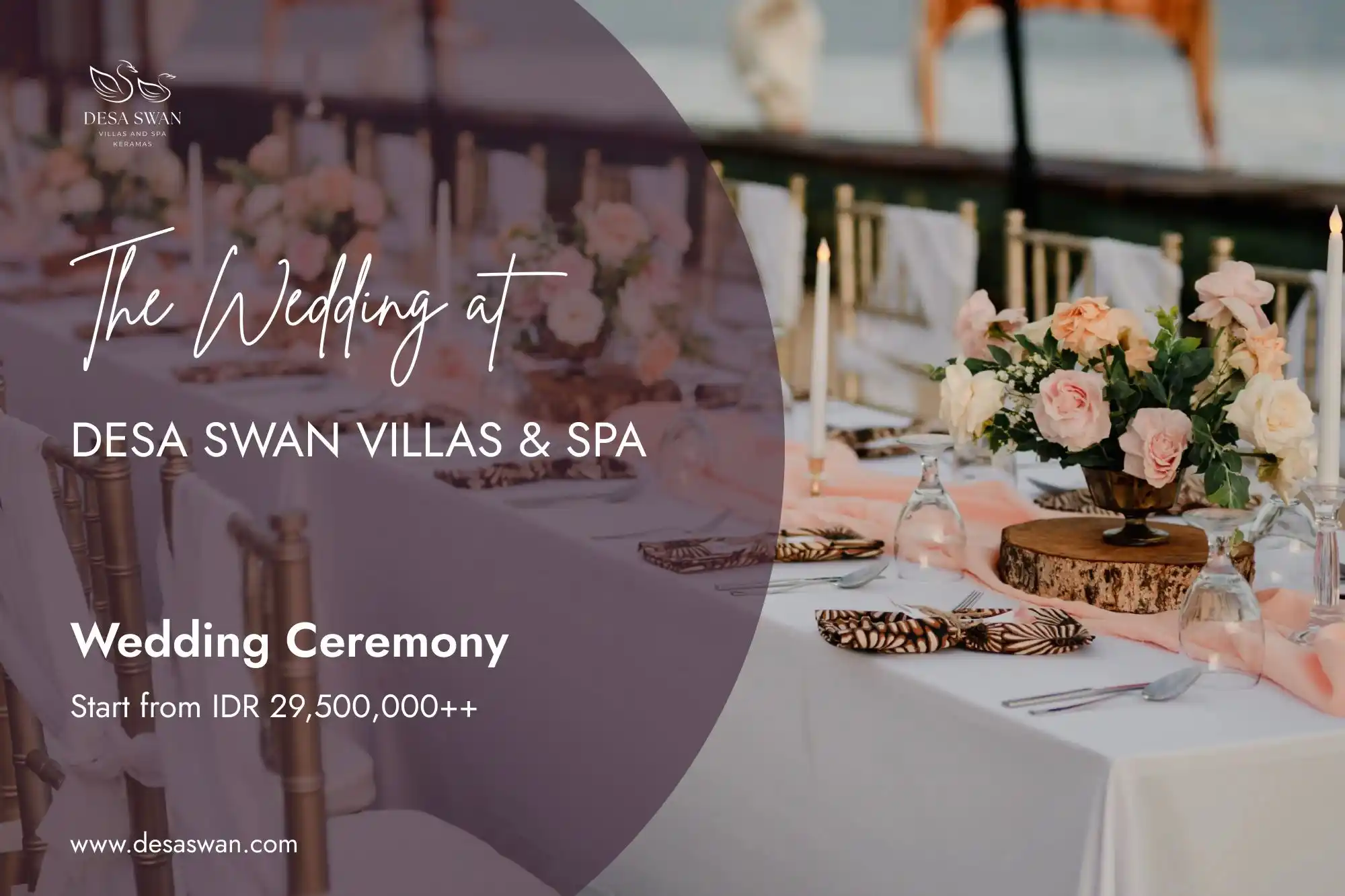 Desa Swan Special Offers