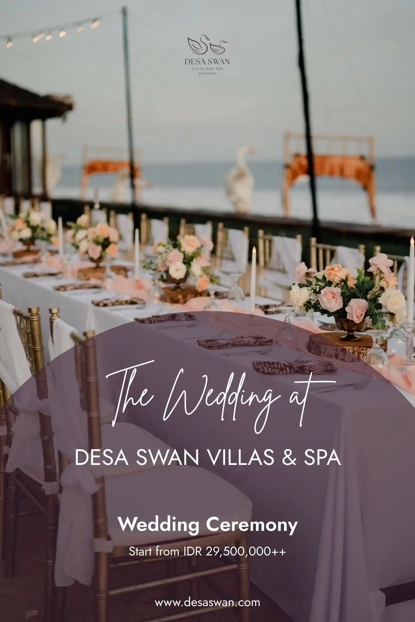 Desa Swan Special Offers